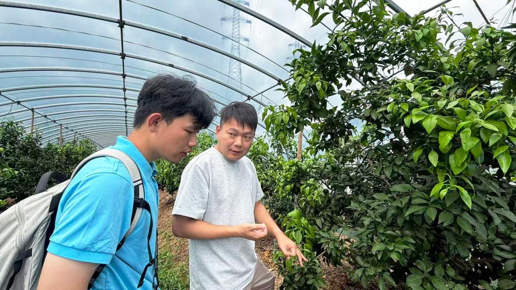 扎根沃土，青春探寻生态农业新路径——安庆师大三下乡团队赴庐江县金乔生态农业有限公司开展调研