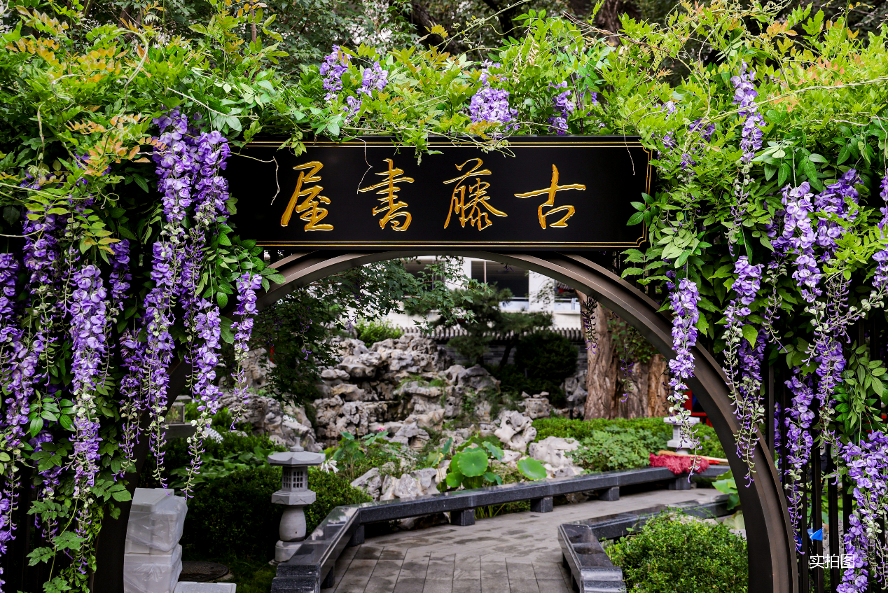 古藤承文脉，书院启新章 国安书院启幕，观玺解锁二环内文化人居新范式